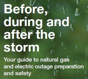 Before During and After the Storm logo Before During and After the Storm logo