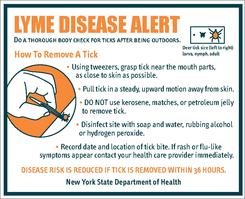 Lyme Disease Alert Lyme Disease Alert