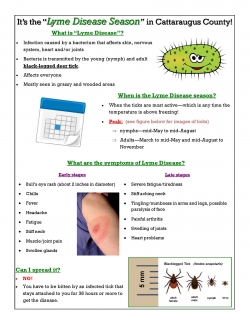 Basic Lyme Disease Fact Sheet