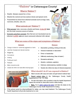 Rabies Fact Sheet link
