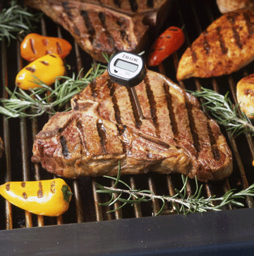 Thermometer in Steak Thermometer in Steak