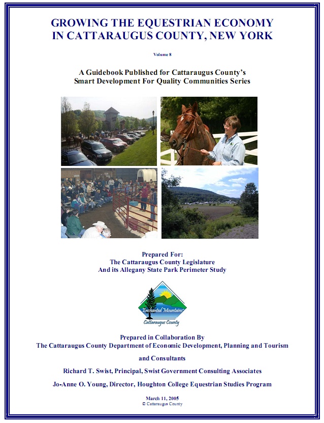 Guidebook Volume 8 Cover Guidebook Volume 8 Cover